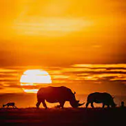 beautiful sunrise images beautiful sunrise images